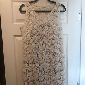 Gorgeous sleeveless lace dress with nude lining.